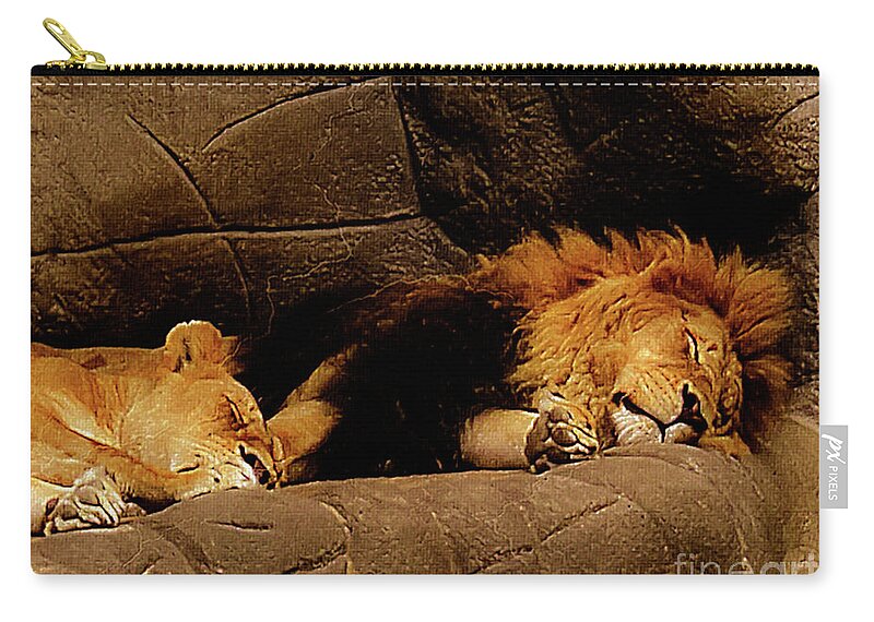 Mona Stut Zip Pouch featuring the photograph Twosome Relaxing by Mona Stut