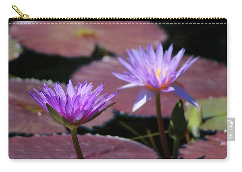Blue Lotus Flower Zip Pouch featuring the photograph Ultraviolet Lotus Flower on Burgundy Lily Pads by Colleen Cornelius