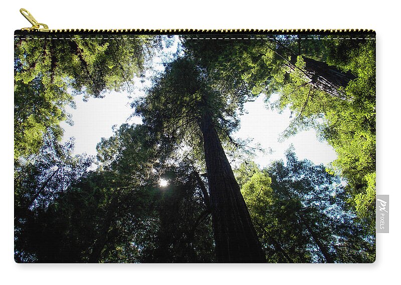 K. Bradley Washburn Zip Pouch featuring the photograph Under the Redwoods by K Bradley Washburn