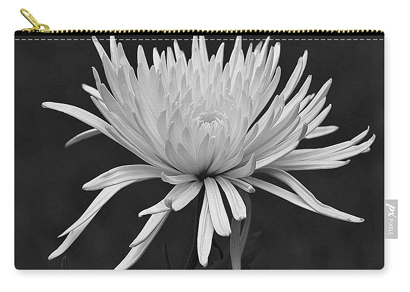  Zip Pouch featuring the photograph Unforgettable by Carolyn Mickulas