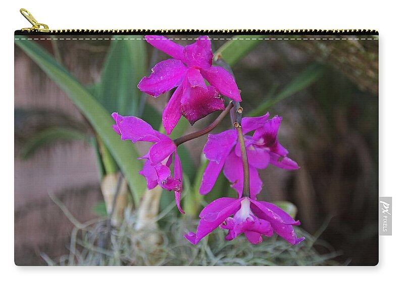 Orchid Zip Pouch featuring the photograph Unraveling the Pieces by Michiale Schneider