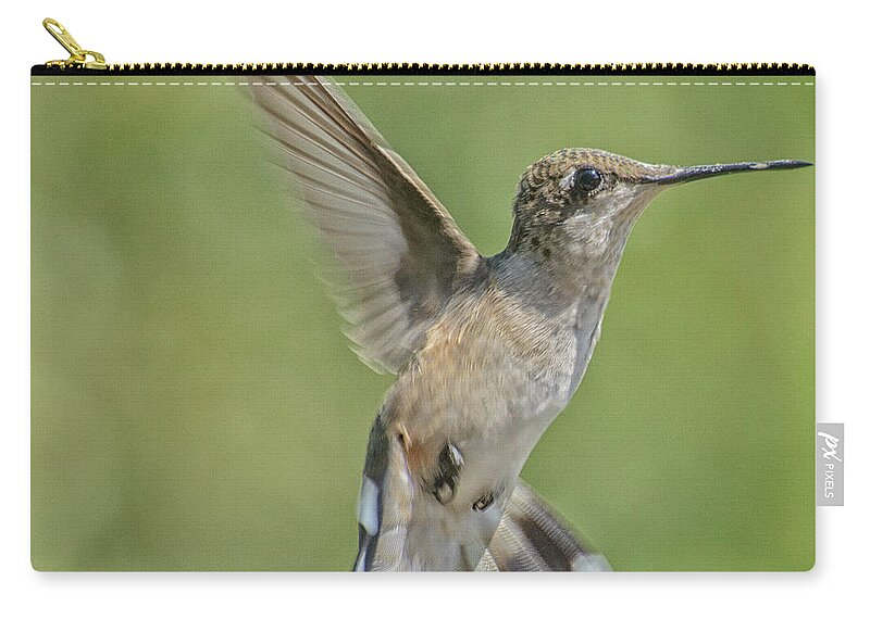 Hummingbirds Zip Pouch featuring the photograph Untitled Hum_bird_four by Paul Vitko