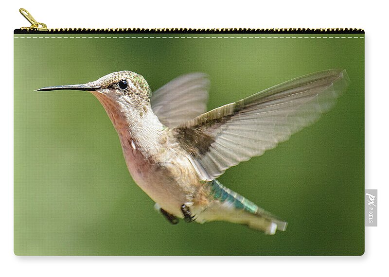 Hummingbird Zip Pouch featuring the photograph Untitled Hum_bird_two by Paul Vitko