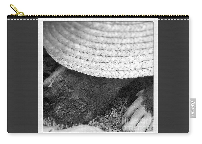 Dog Zip Pouch featuring the photograph Untitled by Kari Myres