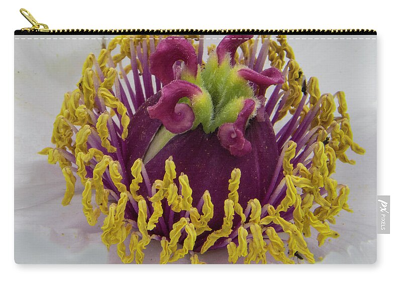 Flower Zip Pouch featuring the photograph Untitled No.3 by John Greco