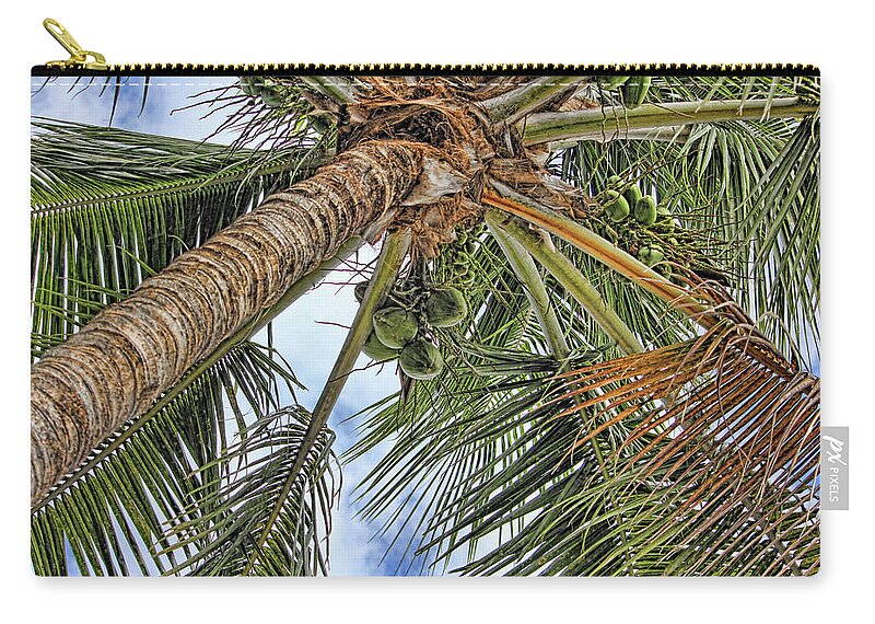 Coconut Palm Zip Pouch featuring the photograph Up A Tree by HH Photography of Florida