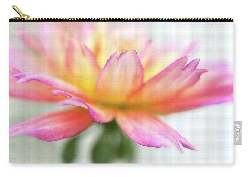 Bloom Zip Pouch featuring the photograph A stylish presentation of a dahlia. by Usha Peddamatham