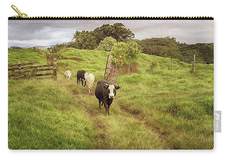 Cows Zip Pouch featuring the photograph Upcountry Ranch by Susan Rissi Tregoning