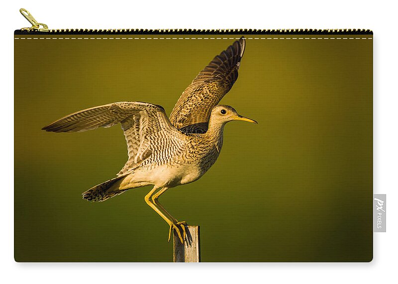 Wildlife Zip Pouch featuring the photograph Upland Sandpiper on Steel Post by Jeff Phillippi