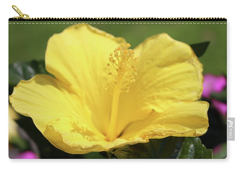 Flower Zip Pouch featuring the photograph Upright Beauty by Cynthia Guinn