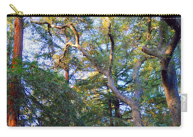 Redwood Zip Pouch featuring the photograph Upward Flow by Glenn McCarthy Art and Photography