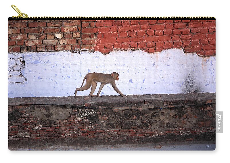 Animals Zip Pouch featuring the photograph Urban Monkey by Aidan Moran