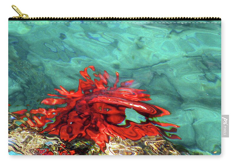 Urchin Carry-all Pouch featuring the photograph Urchin Abstract by Ted Keller