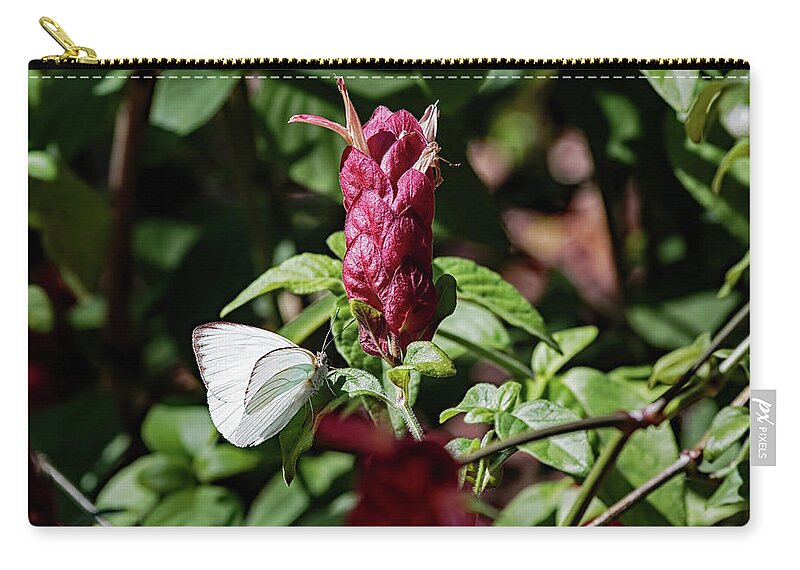 Florida Zip Pouch featuring the photograph USF Botanical Gardens - Megaskepasma Erythrochlamys Brazilian Red Cloak by Ronald Reid