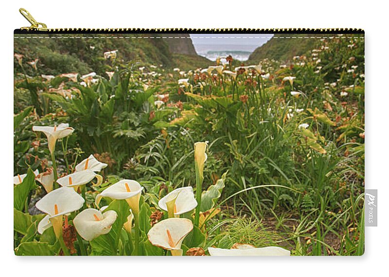 Garrapata State Park Zip Pouch featuring the photograph Valley of the Lilies by Laurie Search