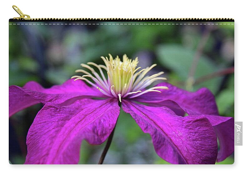 Clematis Zip Pouch featuring the photograph Valor by Michiale Schneider