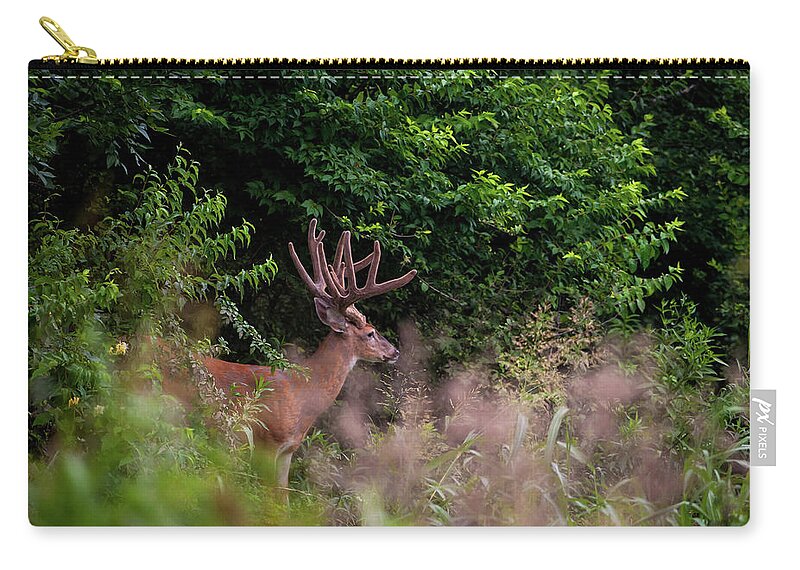 Whitetail Zip Pouch featuring the photograph Velvet Crown by Jeff Phillippi
