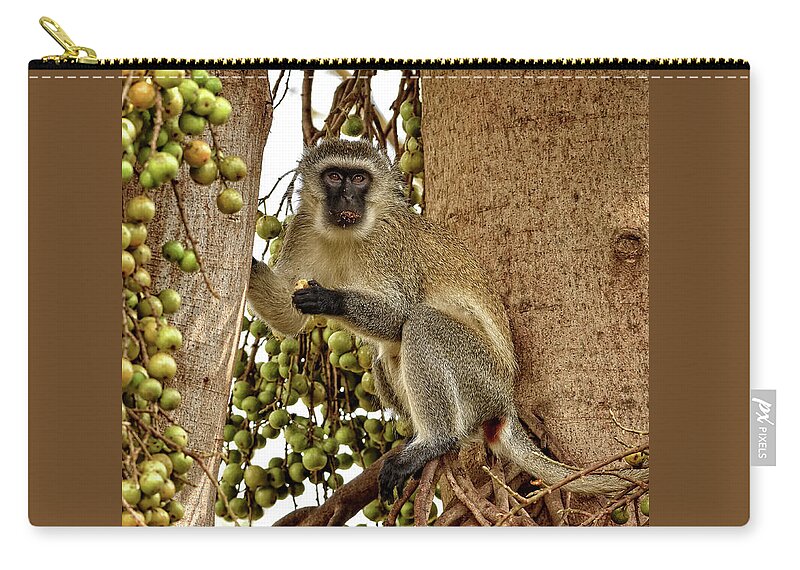 Africa Zip Pouch featuring the photograph Vervet Monkey by Mitchell R Grosky