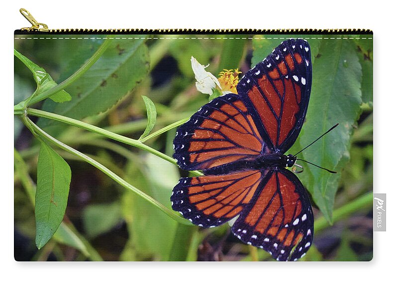 Photograph Zip Pouch featuring the photograph Viceroy Butterfly by Larah McElroy
