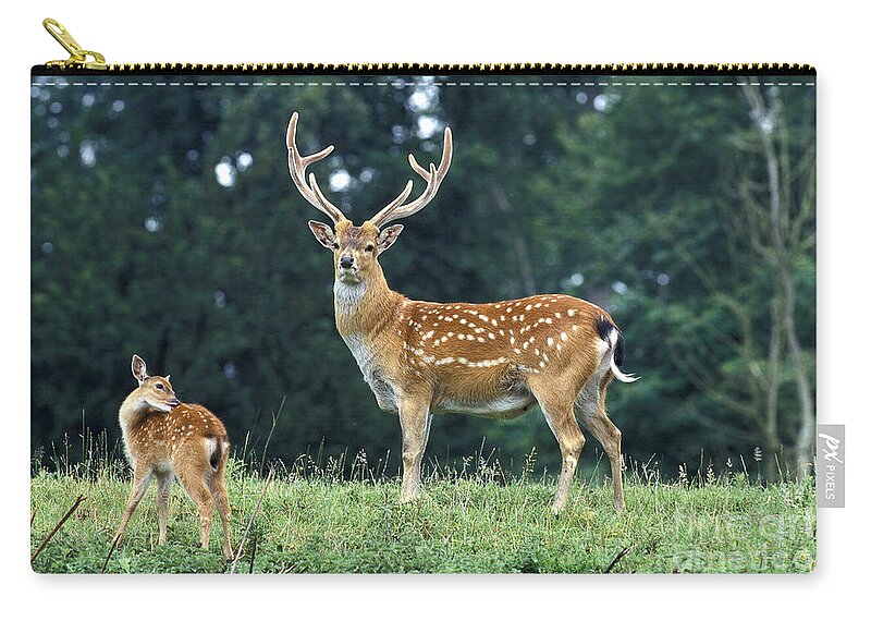 Adult Carry-all Pouch featuring the photograph Vietnamese Sika Deer by Gerard Lacz