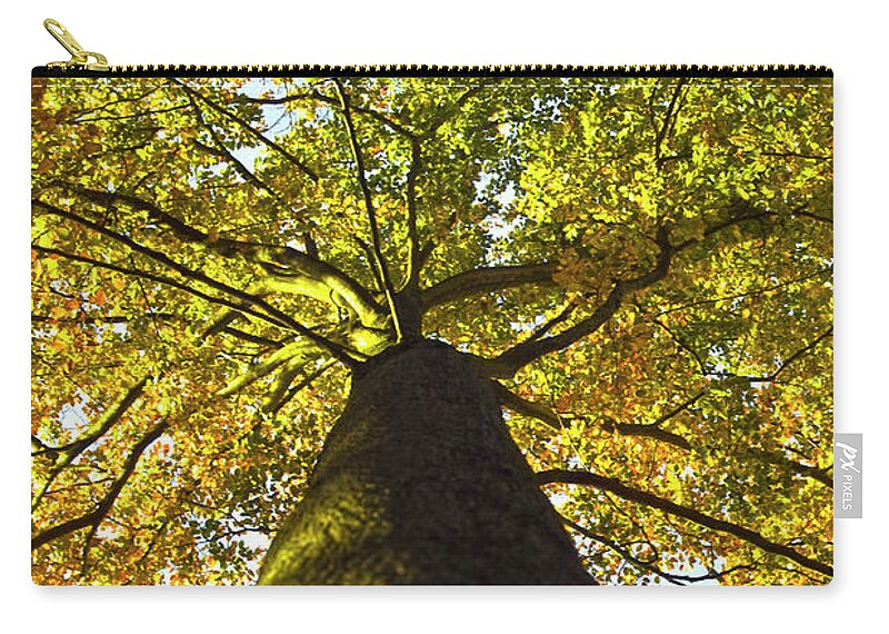 Trees Zip Pouch featuring the photograph View to the top by Heiko Koehrer-Wagner