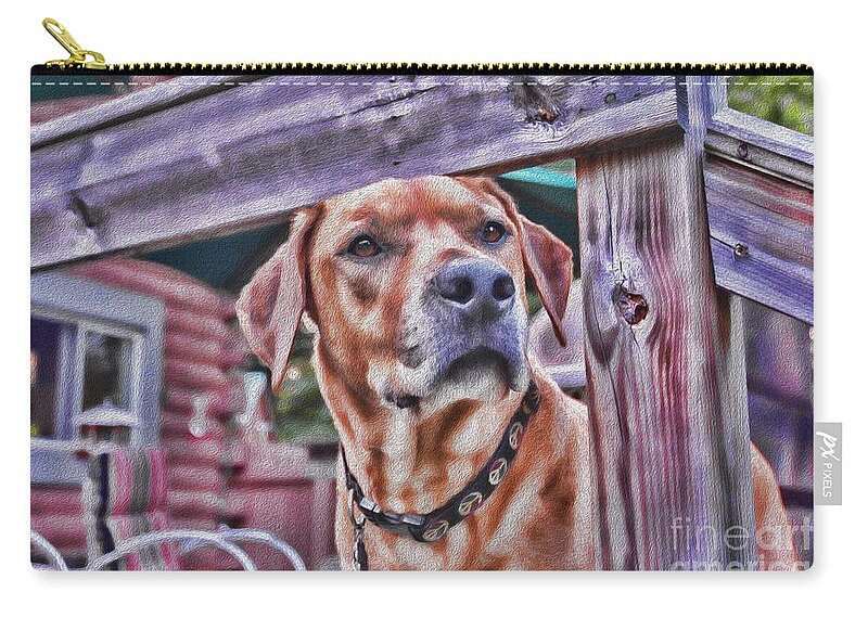 Dog Zip Pouch featuring the photograph Vigilant by Mim White