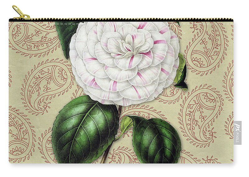 Camellia Japonica Zip Pouch featuring the digital art Vintage Botanical White and Pink Flower Camellia japonica by Amy Cicconi
