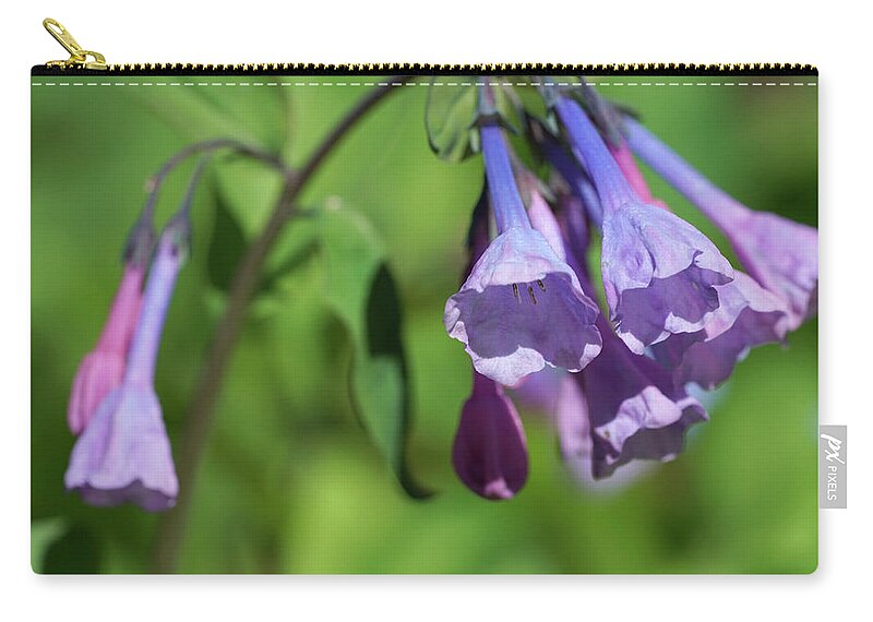 Garden Zip Pouch featuring the photograph Virginia Bluebells at Winterthur #330 by Raymond Magnani