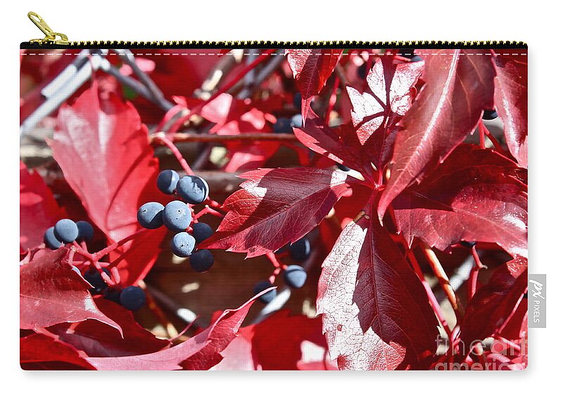 Vine Zip Pouch featuring the photograph Virginia Creeper by Linda Bianic