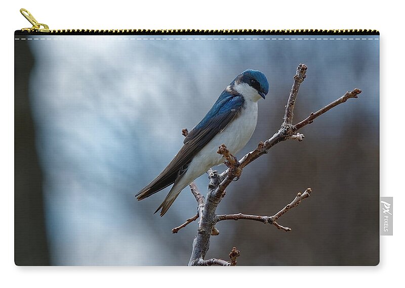 Bird Zip Pouch featuring the photograph Vision in blue by Peter Ponzio