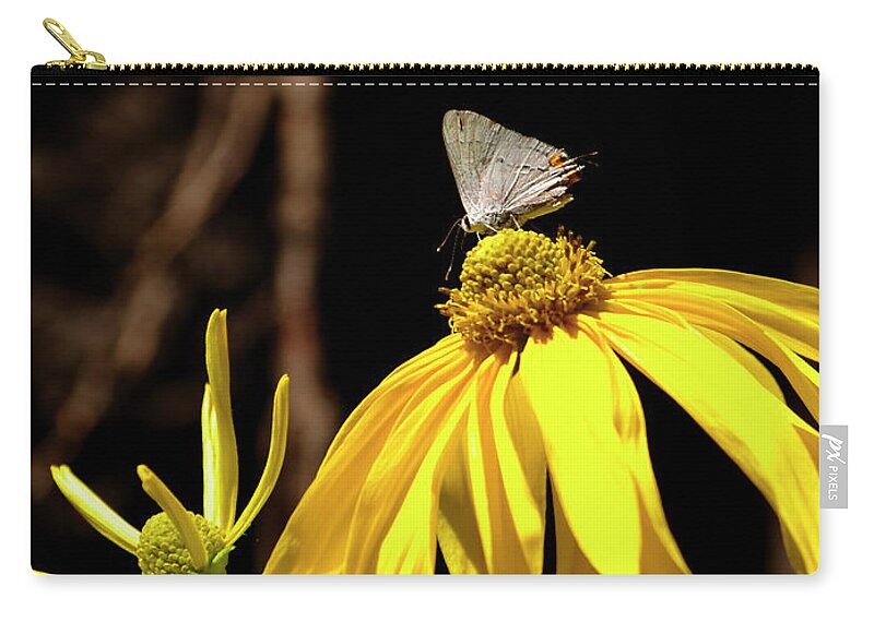 Photography Zip Pouch featuring the photograph Visiting Butterfly by Rebecca Langen