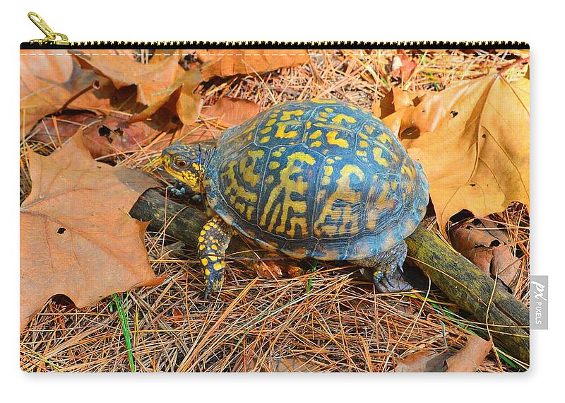 Eastern Box Carry-all Pouch featuring the photograph Visitor in the Woods by Stacie Siemsen