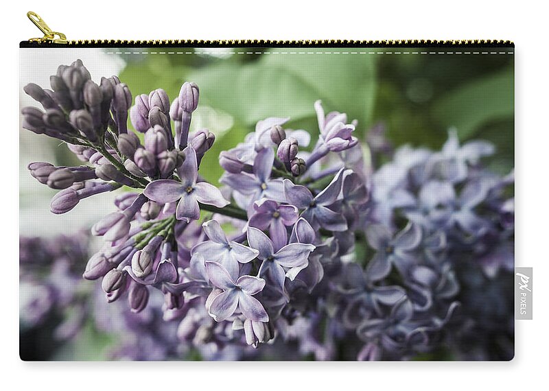 Miguel Zip Pouch featuring the photograph Vivid Dreams by Miguel Winterpacht