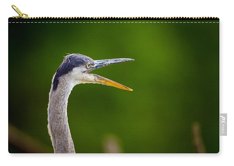 Bird Zip Pouch featuring the photograph Vocal Heron by Jeff Phillippi