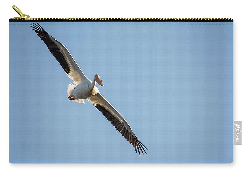 Pelican Zip Pouch featuring the photograph Voyage by Brian Duram