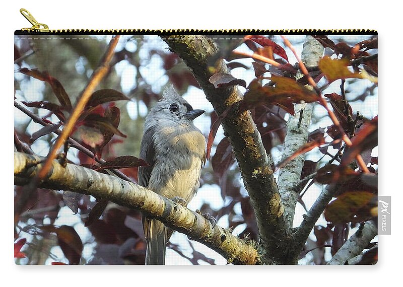 Titmouse Zip Pouch featuring the photograph Waiting for Mom by Judy Wanamaker