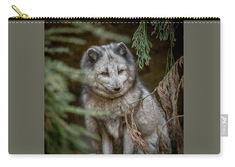Nc Zoo Zip Pouch featuring the photograph Waiting for Red by Wade Brooks