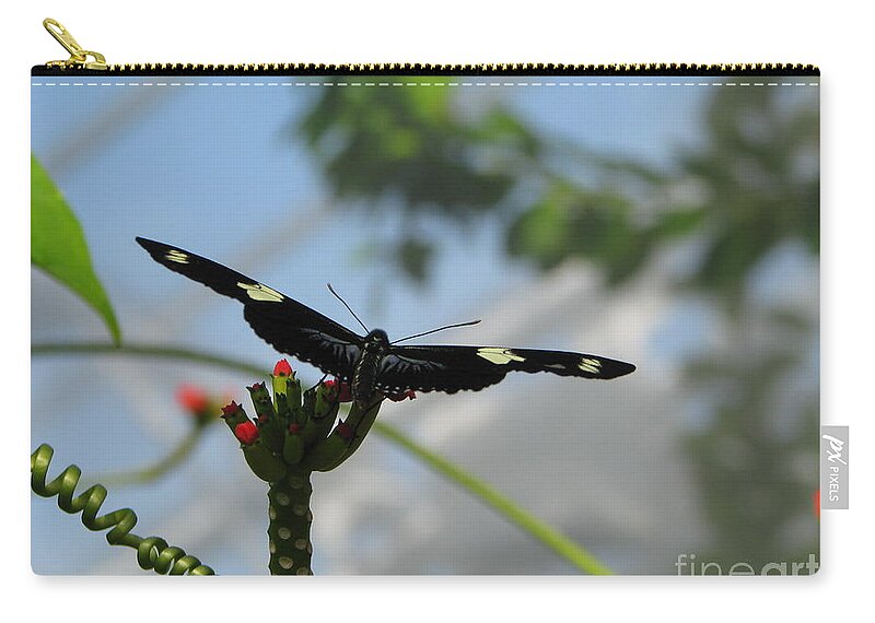 Butterfly Zip Pouch featuring the photograph Waiting For Take Off by Michael Krek