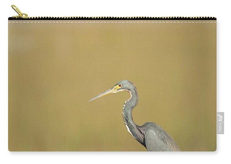 Everglades National Park Carry-all Pouch featuring the photograph Waiting by Frank Madia