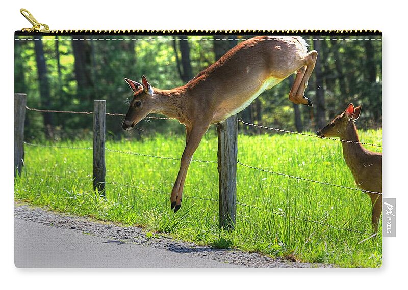 Deer Zip Pouch featuring the photograph Waiting In Line by Carol Montoya