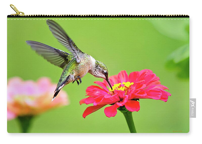 Hummingbird Zip Pouch featuring the photograph Hummingbird Waiting in the Wings by Christina Rollo