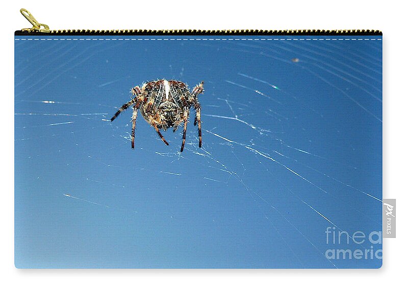 Spider Zip Pouch featuring the photograph Waiting by Larry Keahey