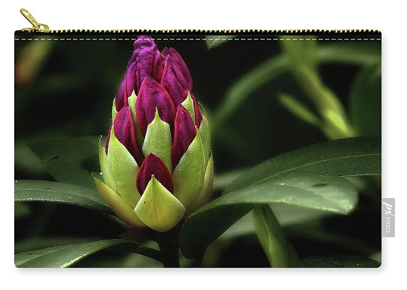 Flower Zip Pouch featuring the photograph Waiting by Mike Eingle