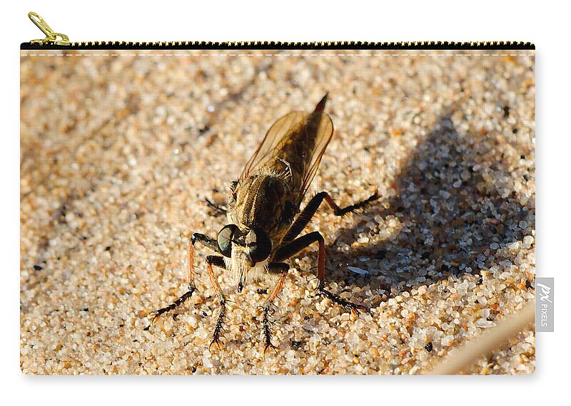 Robberfly Zip Pouch featuring the photograph Waiting on a meal by James Smullins