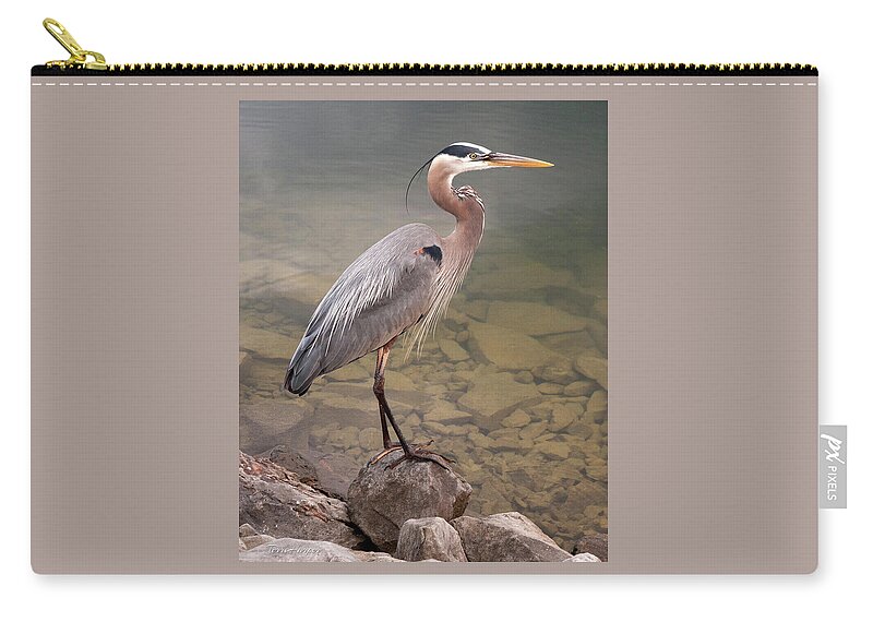 Blue Heron Zip Pouch featuring the photograph Waiting by Terri Harper