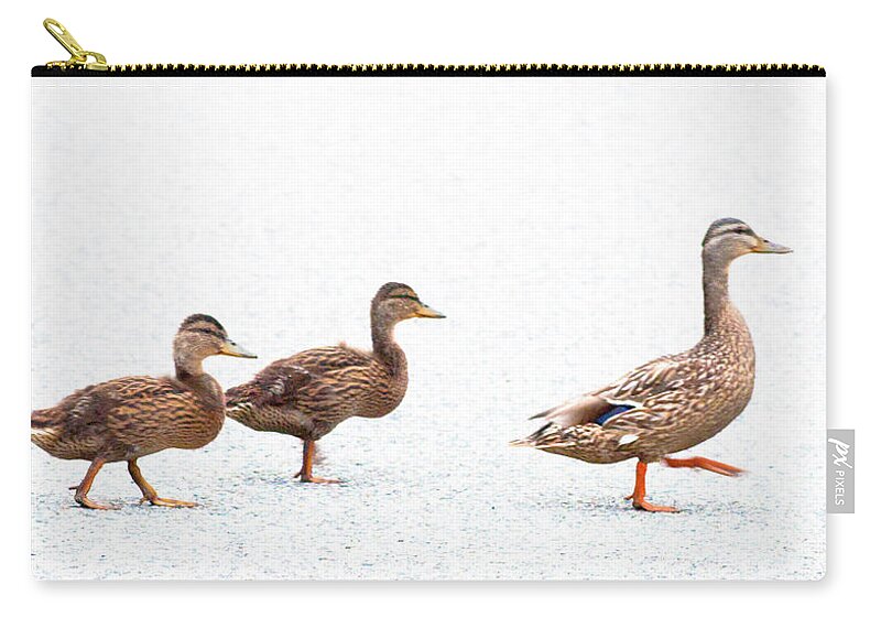 Ducks Carry-all Pouch featuring the photograph Walk This Way by Jeff Cooper