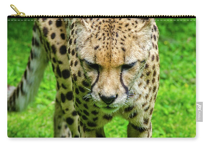 Wildlife Zip Pouch featuring the photograph Walking Cheeta by Rainer Kersten