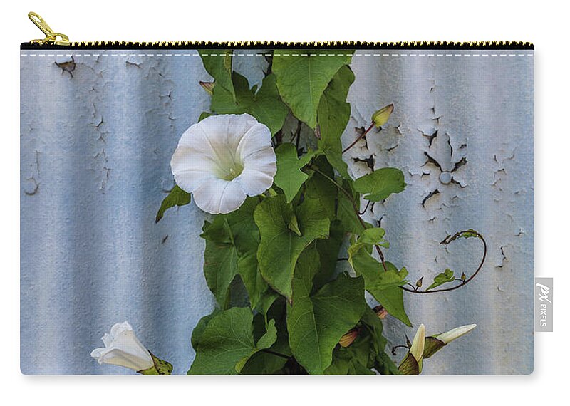 Astoria Zip Pouch featuring the photograph Wall Flower by Patti Schulze
