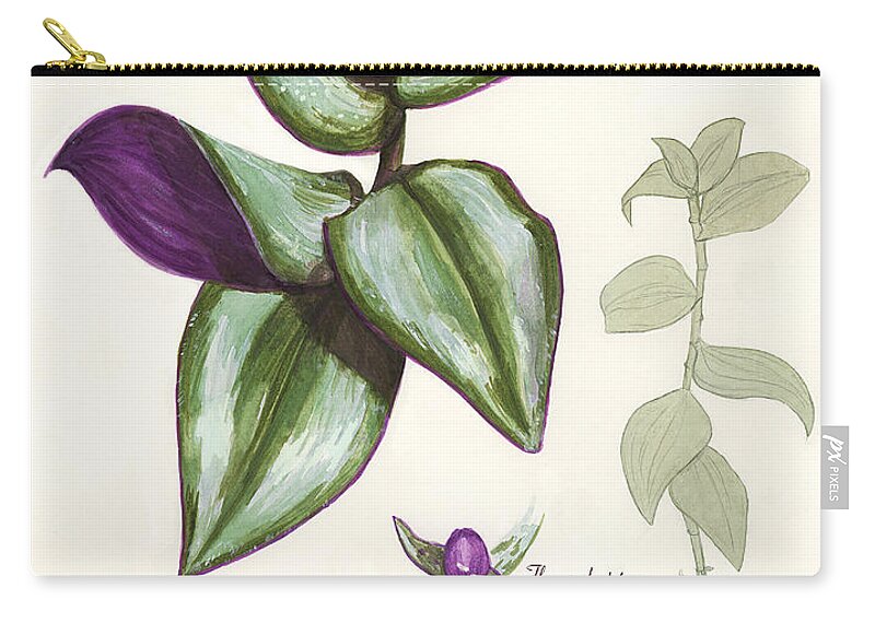 Plant Zip Pouch featuring the painting Wandering Jew - Tradescantia Zebrina by Brandy Woods