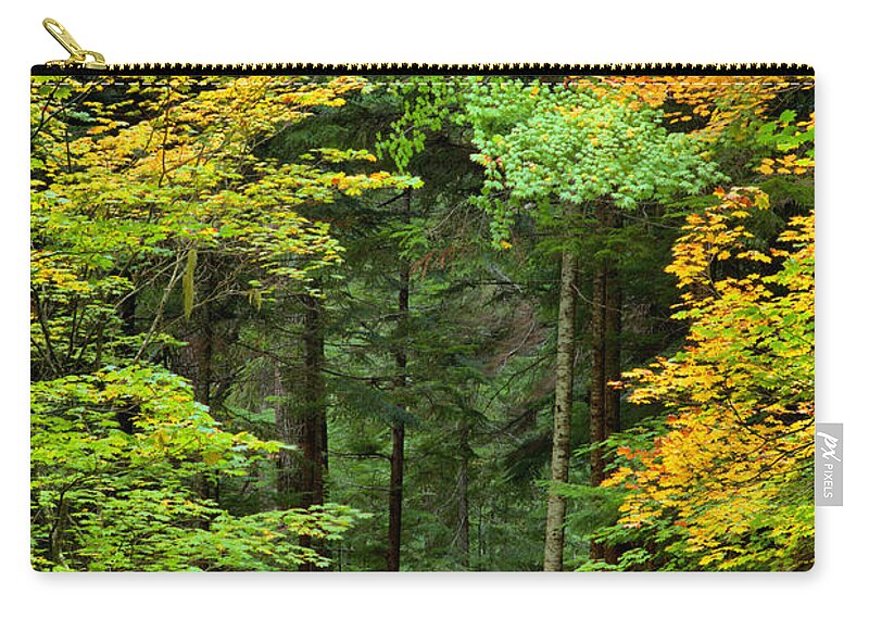  Zip Pouch featuring the photograph Wandering Through The Trees by Adam Jewell